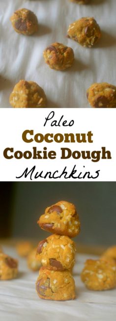 Satisfy your cookie dough and donut cravings in one w/ these Paleo Coconut Cookie Dough Munchkins! Made with coconut flour and other nourishing ingredients!