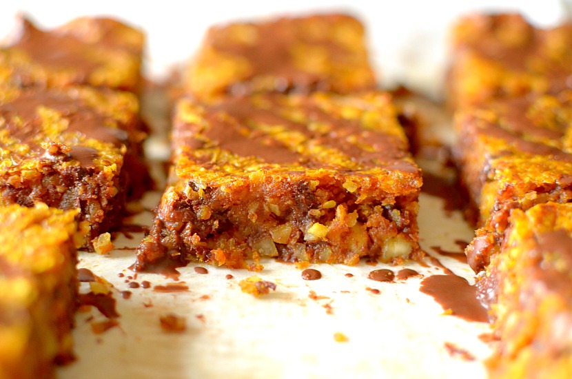 Need a healthy grab n' go breakfast? Make these delicious Paleo Coconut Pumpkin Breakfast Bars for the perfect way to satisfy your early morning appetite!