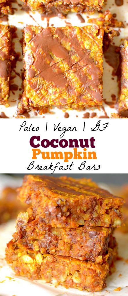 Need a healthy grab n' go breakfast? Make these delicious Paleo Coconut Pumpkin Breakfast Bars for the perfect way to satisfy your early morning appetite!