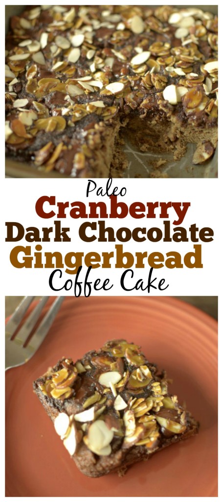 This Paleo Gingerbread Coffee Cake is studded with dark chocolate chips and tart dried cranberries to make the best healthy holiday breakfast!