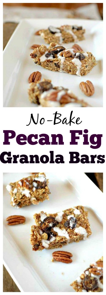 In need of a healthy snack that will satisfy you hunger as well as your sweet tooth? Make these No-Bake Pecan Fig Granola Bars with a Coconut Glaze that take no more than 10 minutes to make! Also Gluten-Free and Vegan!
