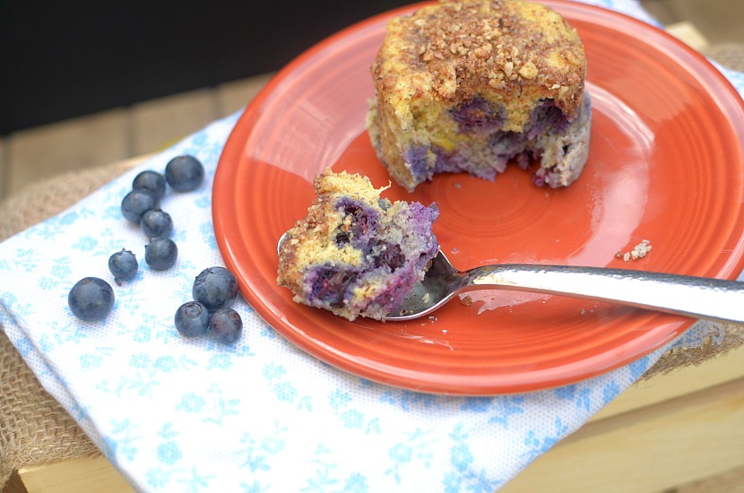 This Healthy Lemon Blueberry Crumb Cake In a Mug is a fast, easy and delicious breakfast, snack or dessert! It's the perfect summer treat made with real food ingredients such as almond flour, coconut sugar and fresh blueberries. Also paleo, gluten-free and has a vegan option!