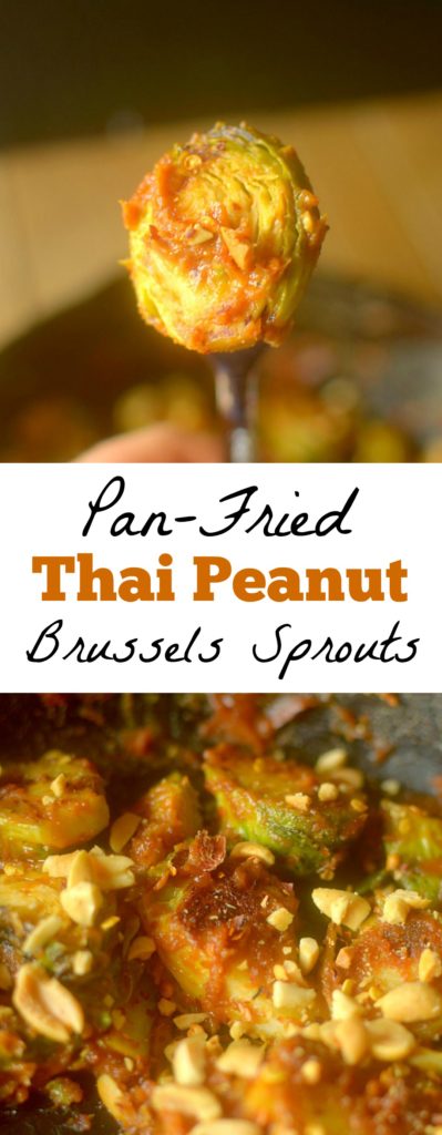 Thai Peanut Pan-Fried Brussels Sprouts will be your new favorite way to enjoy brussels! Coated in a thick spicy peanut sauce, they are irresistible! Vegan + Paleo option