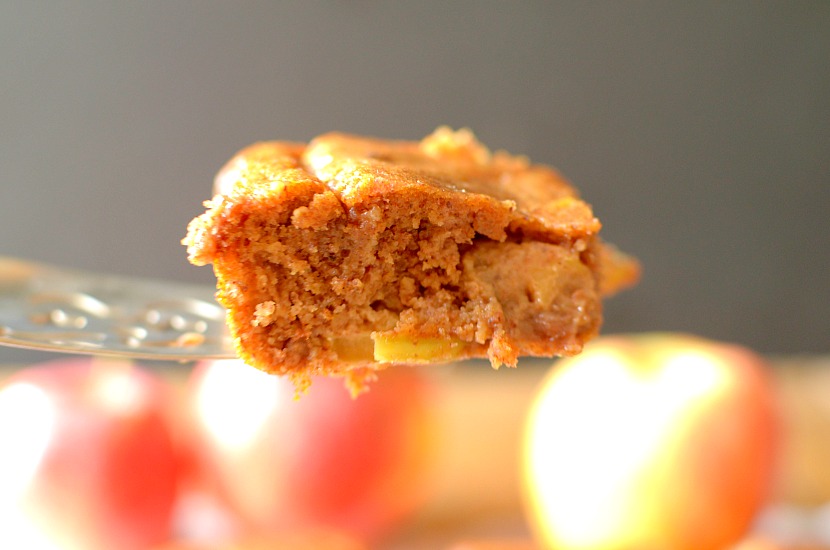 Flourless Caramel Apple Blondies are so gooey and delicious! You would never know that they are good for you! Also gluten-free, with vegan and paleo options!