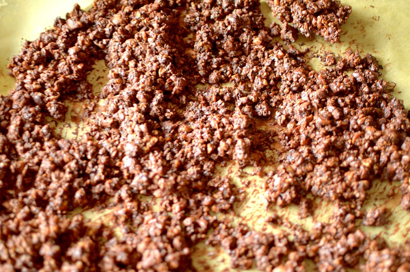 Paleo Chocolate Granola is the crunchiest, clustery, and most chocolatley granola you will ever make! Also gluten-free!