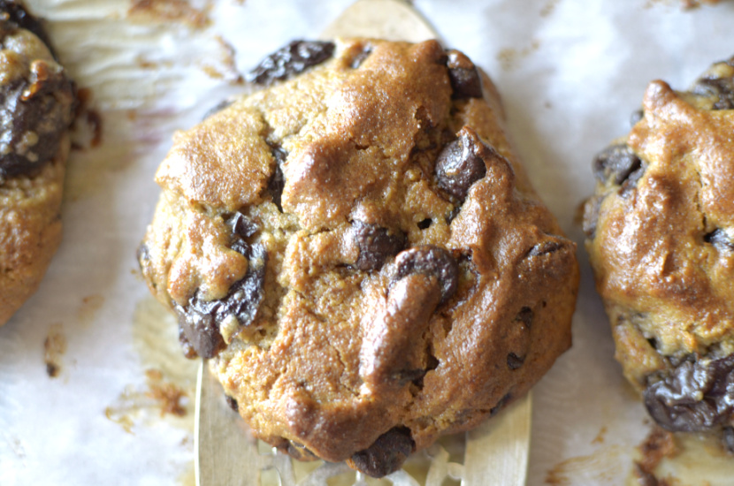 Soft-Baked Dark Cherry Chocolate Chip Cookies are a healthier twist off of the classic cookie!  Super easy to make, only 8 ingredients and Paleo & Vegan friendly!﻿