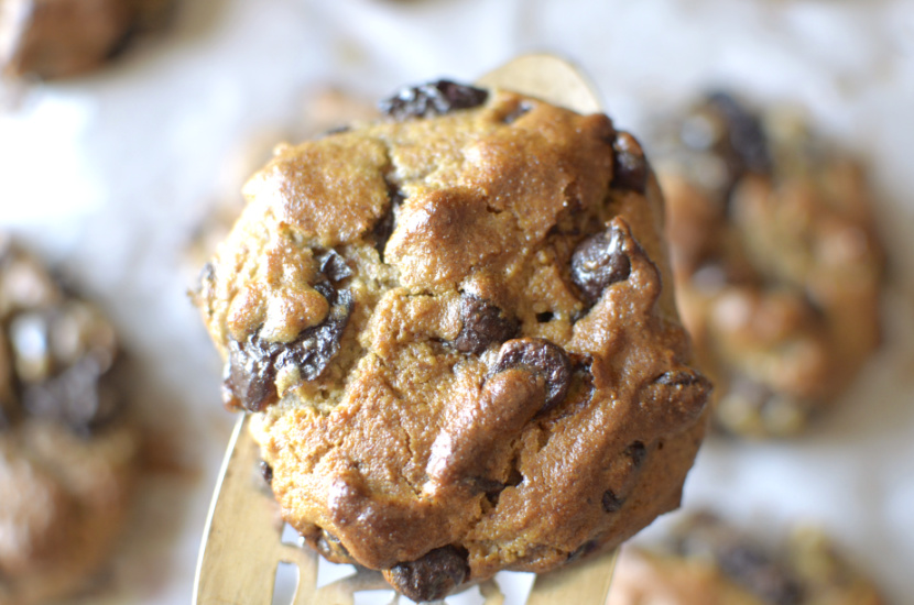 Soft-Baked Dark Cherry Chocolate Chip Cookies are a healthier twist off of the classic cookie! Super easy to make, only 8 ingredients and Paleo & Vegan friendly!﻿