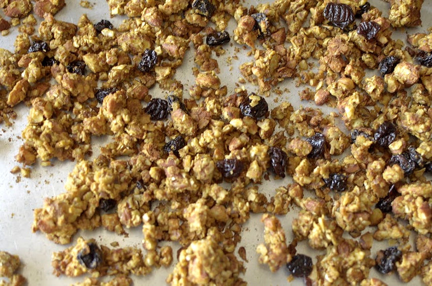Paleo Pumpkin Spice Granola is a super easy, crunchy and delicious granola that is grain-free, gluten-free and vegan-friendly!